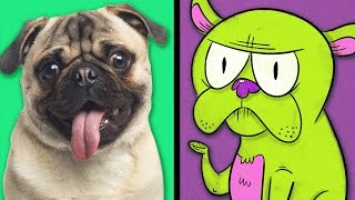 9 Dog Facts That Will Make You Live Forever