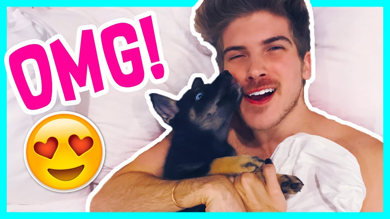 THE CUTEST PUPPY! - YouTube