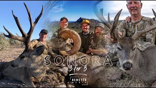 3 FOR 3 - SONORA HUNTING DREAMS
