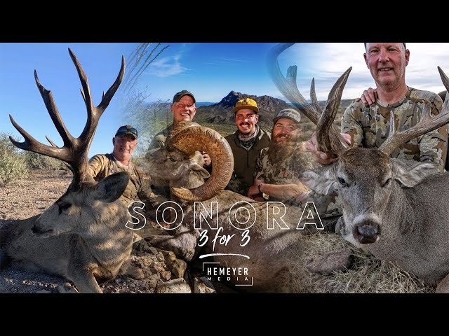 3 FOR 3 - SONORA HUNTING DREAMS class=