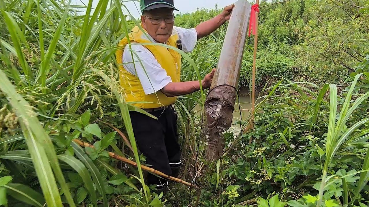 2025年7月7日塩ビパイプでうなぎ捕り⑪