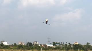 Tarot 450 Pro inverted nose-in hover - 2