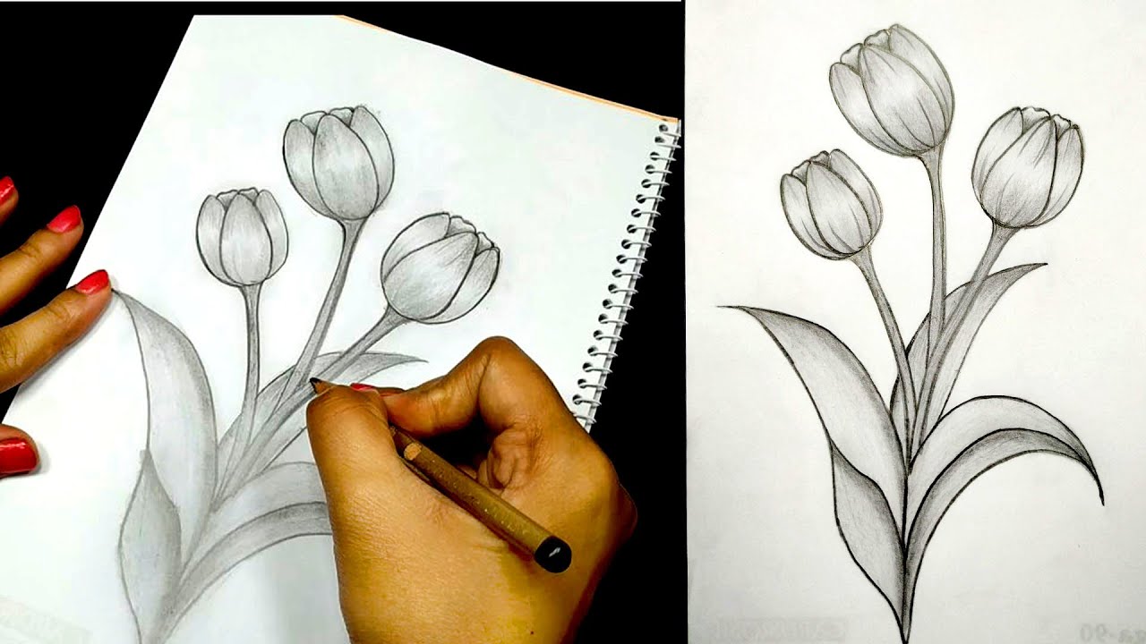 Beginner's Guide to Basic Pencil Drawing and Shading - FeltMagnet