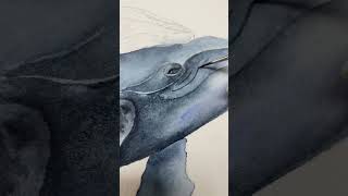 Humpback Whales Watercolor Process #shorts #watercolorpaint #art