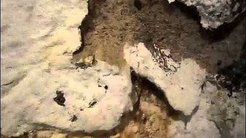 Basement Waterproofing Paint, efflorescence