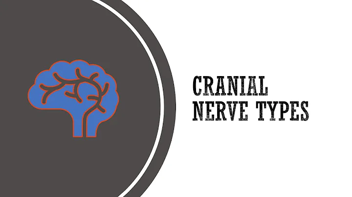 Cranial Nerve Types - Anatomy & Physiology