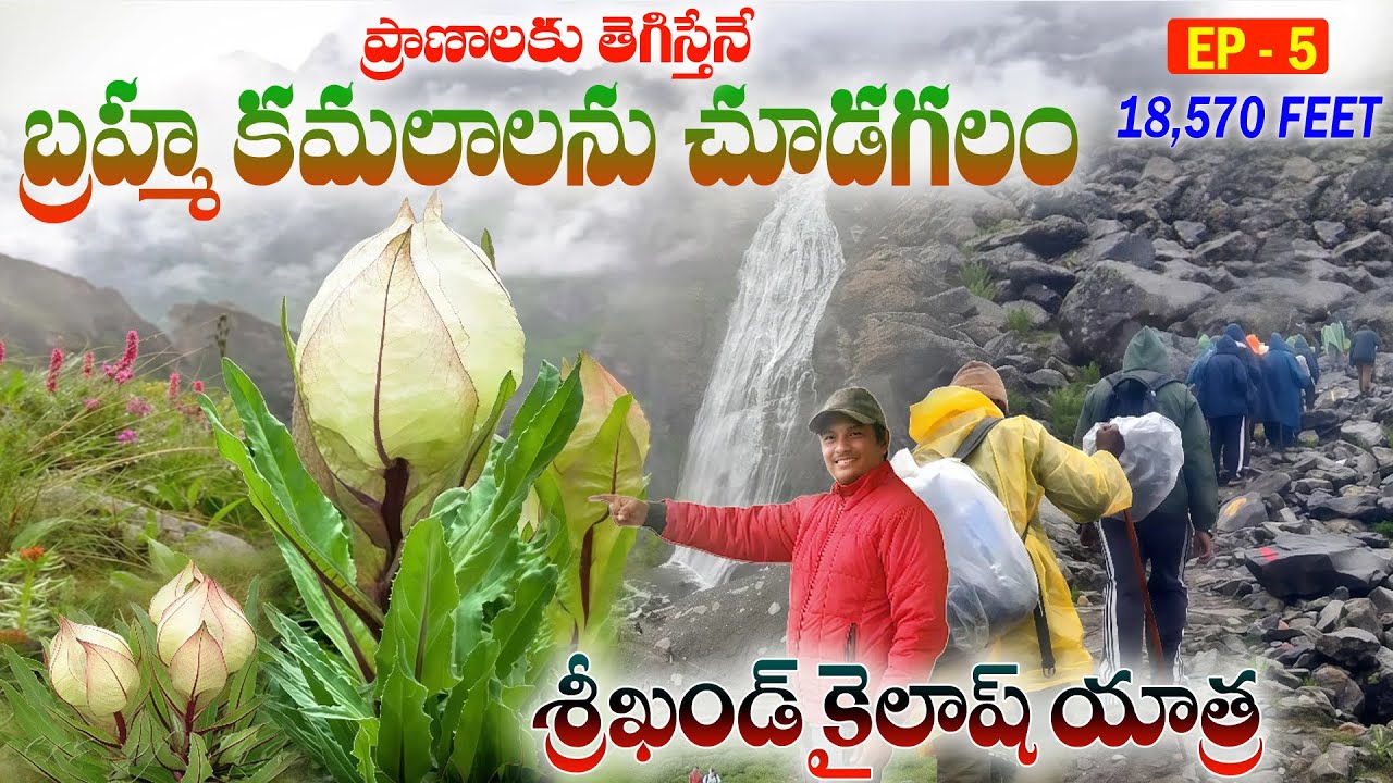 కైలాస యాత్ర. Shrikhand Mahadev kailash Yatra I #shrikhandmahadev Travel Guide. kailash yatra