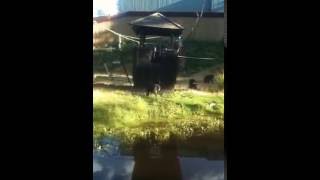 Part 07 - Inside Kolmarden Zoo Around Gorilla House And Chimpanzee Sweden