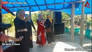 Keseruan emak emak lagu Remix Suratan|| live orgen tunggal Anisa musik || lokasi prt 4 kayu raja