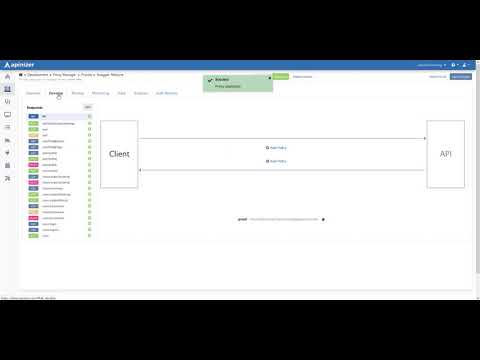 API Proxy 011 - Proxy Log Setting