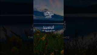الذين آتيناهم الكتاب يتلونه حق تلاوته أولئك يؤمنون به | القارىء صلاح بوخاطر