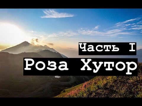 Роза пик на машине