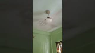 Update: 56" BRB fan