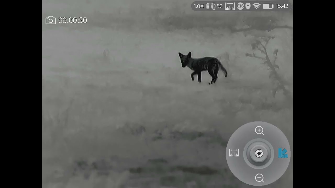 ThermTec cyclops 650D