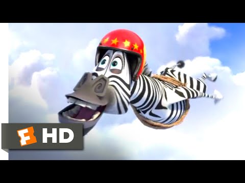 Video: Dove Vedere Madagascar-3 A Mosca