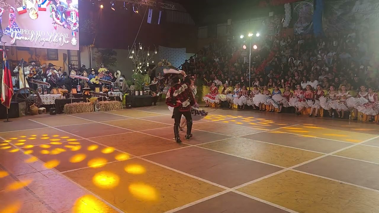 Entrega Campeones Nogal de Oro 2024-2025