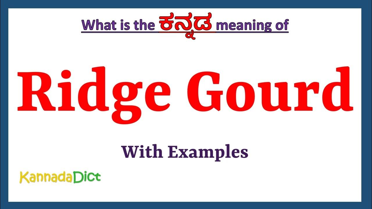 Ridge Gourd Meaning In Kannada Ridge Gourd In Kannada Ridge Gourd ridge-gourd-meaning-in-kannada-ridge-gourd-in-kannada-ridge-gourd