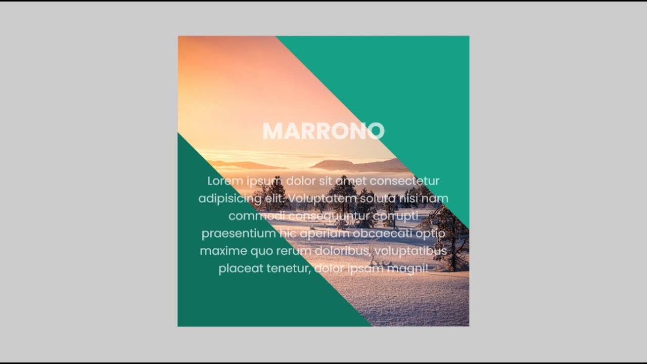 Animated Image Hover Effect | CSS Tutorial - YouTube