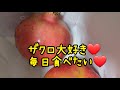 ザクロ大好き~~~❤️❤️❤️❤️❤️ もっと食べたい笑