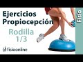 Ejercicios de propiocepción o propioceptivos de rodilla - Nivel inicial - Reforzar la rodilla