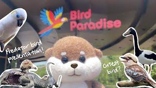 Bird Paradise l Singapore's Newest Wildlife Park: Why you should visit Asia's LARGEST Bird Park