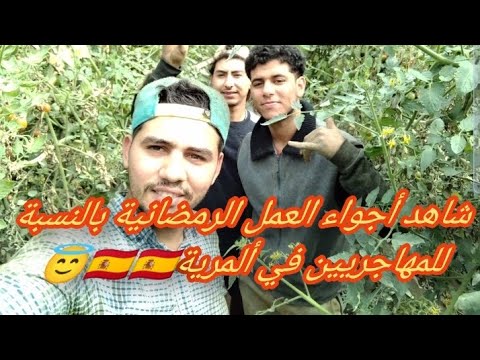 شاهد أجواء العمل الرمضانية بالنسبة للمهاجريين في ألمرية