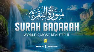 Download Lagu Surah Al-Baqarah سورة البقرة | Beautiful Quran Tilawat for Inner Peace \u0026 Heart Calm #quran MP3