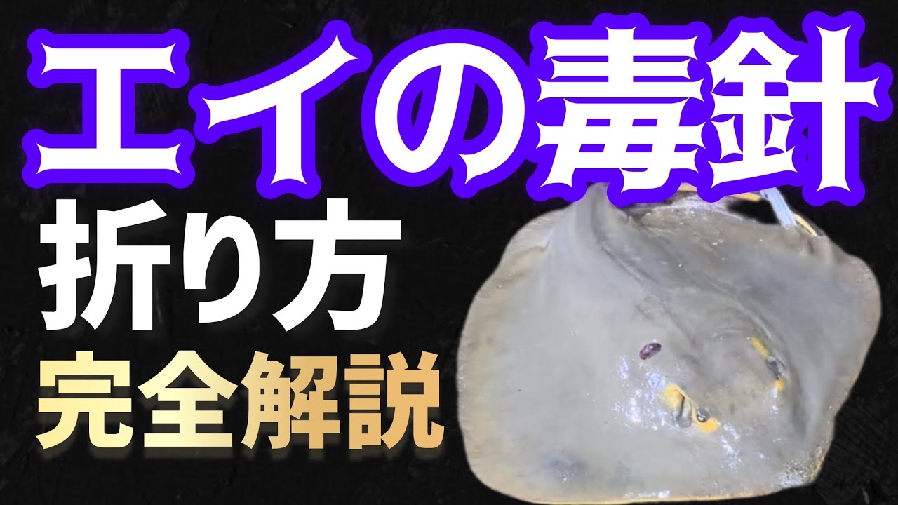 【危険】エイ毒針の折り方!ウェーディング時必須です! - YouTube