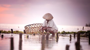 What happens at seafood farms? A closer look | Seafood with Standards