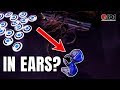 Best In Ear Monitors | 3 tips you NEED to know