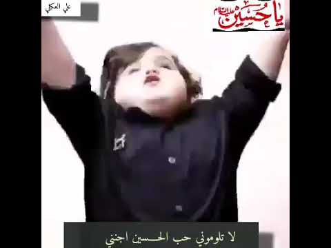 صغيرا واحتوى قلبي هواكا حسينا وحسينا واحسيناه