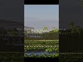 Minecraft já quebrou 12 Records | #shorts #minecraft