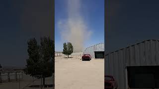 Unexpected Dust Devil Disrupts Family Barbecue