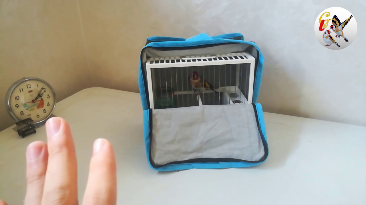 التعامل مع الحسون 