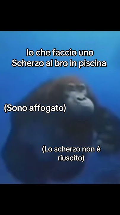 Mission failed😢 #meme