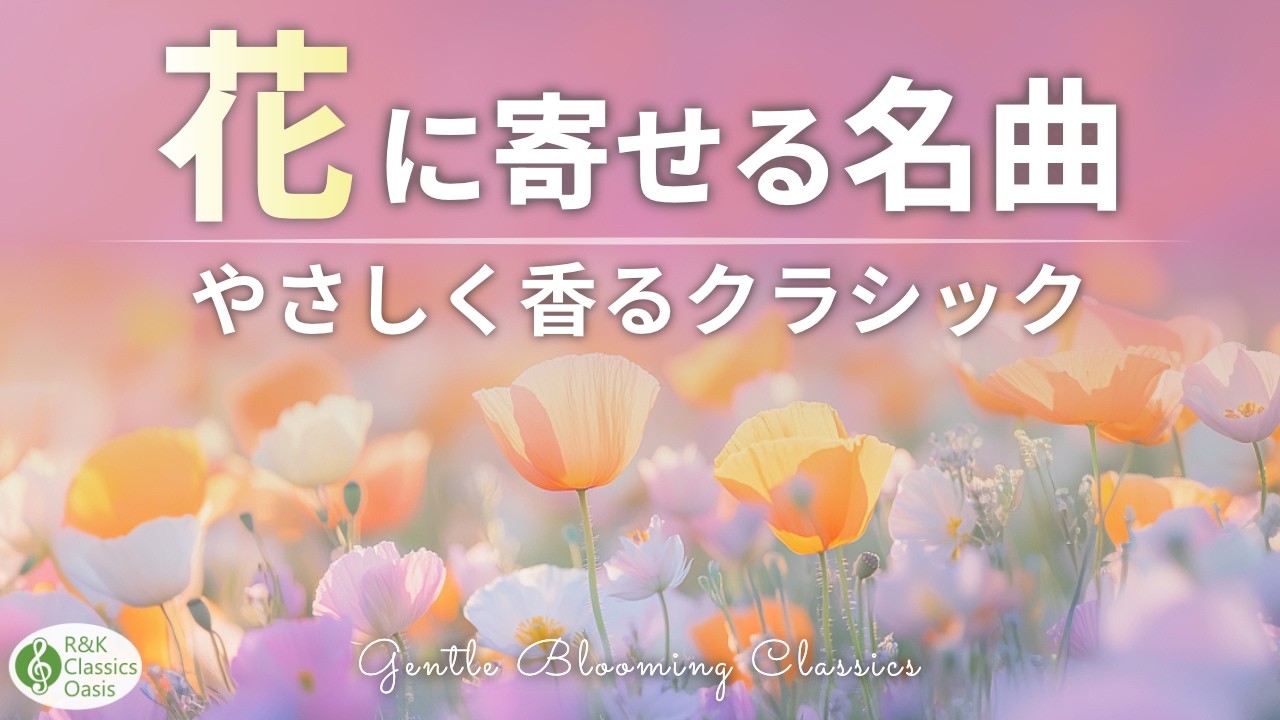 花のクラシック名曲集💐癒しのリラックスBGM(花のワルツ、野ばら 他)途中広告なし
