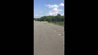 Biketronics Arc Audio - Blue On Black