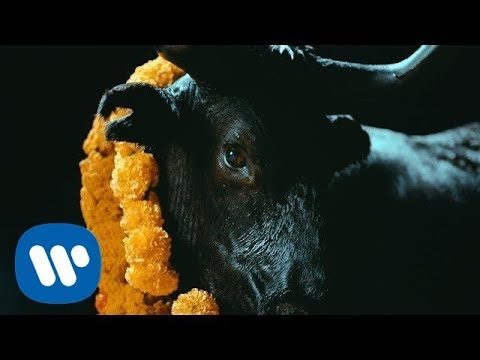 FOALS - Black Bull [Official Music Video]