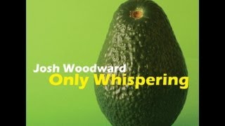 Goodbye To Spring - Josh Woodward