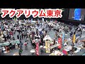 日本最大の観賞魚イベント、アクアリウム東京が楽し過ぎた・・・！