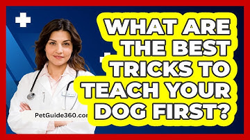 What Are The Best Tricks To Teach Your Dog First? - PetGuide360.com