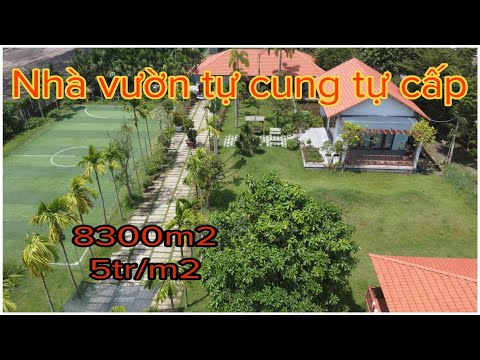 Video bán nhà vườn nghỉ dưỡng có đầy đủ ao cá - sân banh -... - youtube
