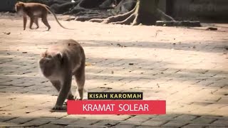 Monyet Jelmaan Di Kramat Solear Tangerang | SECRET STORY (25/06/22)