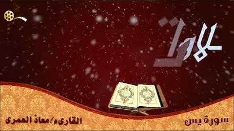 معاذ العمري تلاوات مختارة