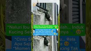 Naluri Ibu untuk Menolong Anaknya Selalu Lebih Besar 🥰🐾Naluri Seorang Ibu: Menyelamatkan anaknya 🥰