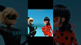 uğur böceği ile kara kedi Edis best ship #fyppppp #uğurbocegiilekarakedi #miraculous #chatnoir