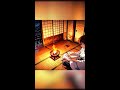 🎵 Chill Ambient Zen LoFi Music | 📔 Focus, Study, or Relaxing with Soft Rain and Fire Sounds Vol. 104
