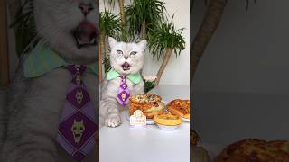 🤣What's The Secret Behind My 'Mantou Only' Day?🍕🍔 #Catsofyoutube #Foodlover #Tiktok