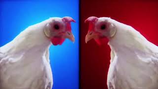 Techno Chicken Song #music #chicken #remix