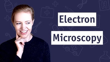 The Electron Microscopy Illusion: Are Those Really Viruses?